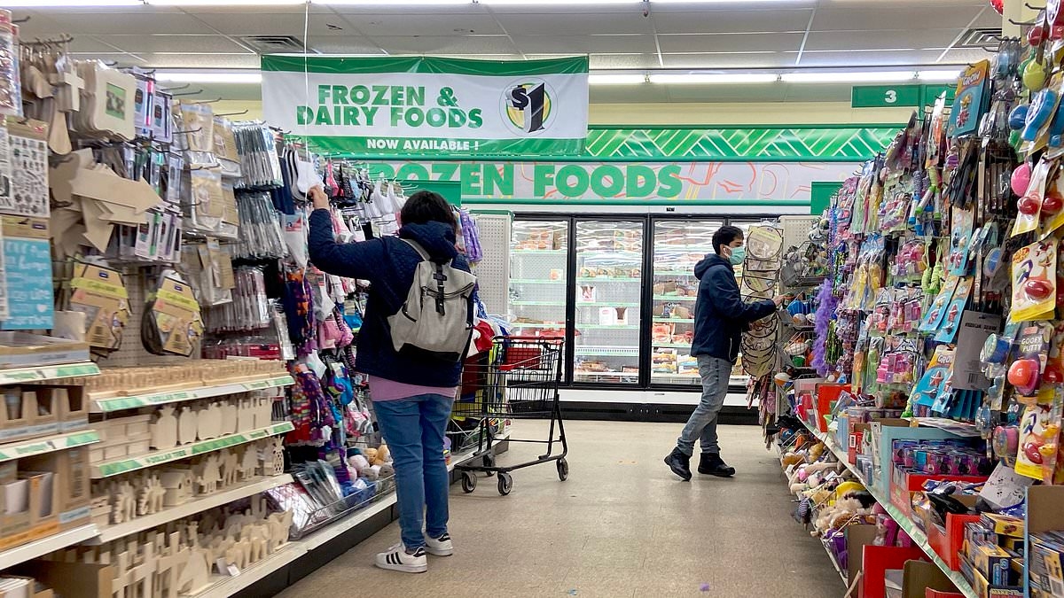 Dollar Tree declares war on Walmart with bargain prices for summer essentials buyers can't find elsewhere