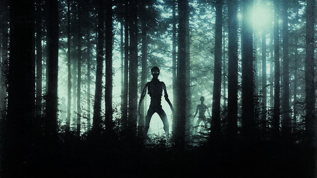 Users of psychedelic drugs say aliens live among us and they've met ‘machine elves' with a dark side