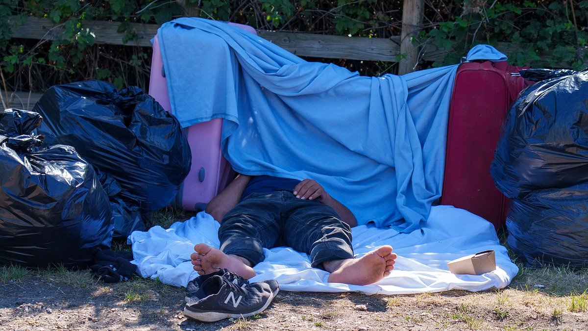EXCLUSIVE Welcome to the Little Chagos Islands! Single London council forced to spend £18million to house hundreds people from the Indian isles on top of their asylum seekers quota