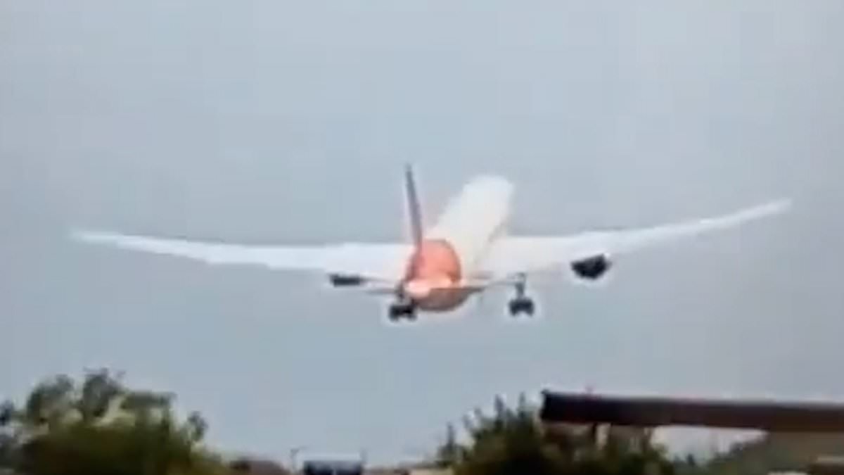 Did pilot DELIBERATELY crash Air India plane? Flight safety expert says new investigator revelations mean action by crew was 'absolutely' cause of disaster that killed 241
