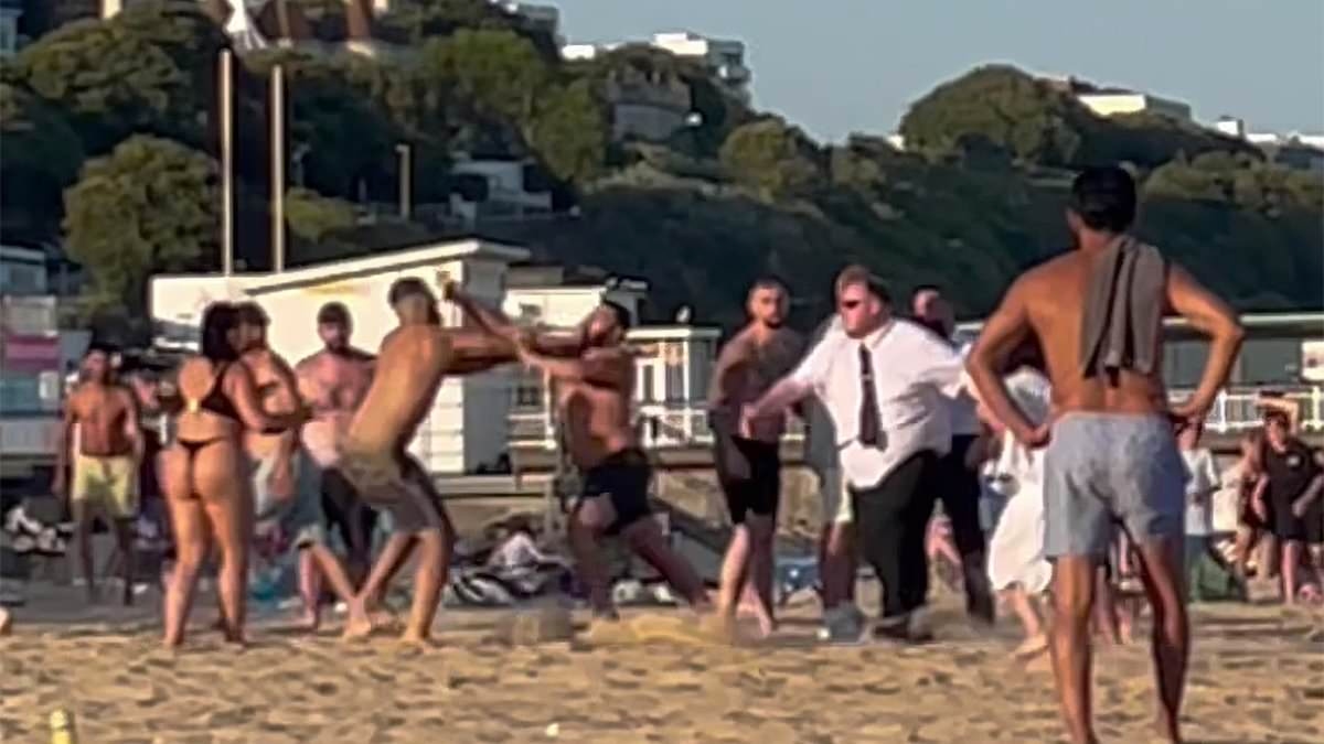 Too hot for some! Sunworshippers trade blows in Bournemouth beach brawl as bouncers struggle to contain the violence