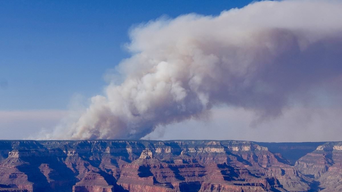Grand Canyon wildfire explodes overnight as CHLORINE GAS and thick black smoke blankets Midwest