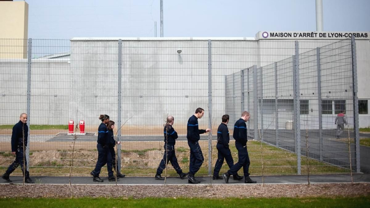 Probe launched after French inmate escaped jail by 'hiding in the luggage of fellow prisoner' as they left