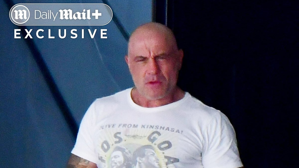 EXCLUSIVE Joe Rogan escapes America on $600,000-a-week mega-yacht with rarely-seen wife and kids, as his split with President Trump hits fever pitch