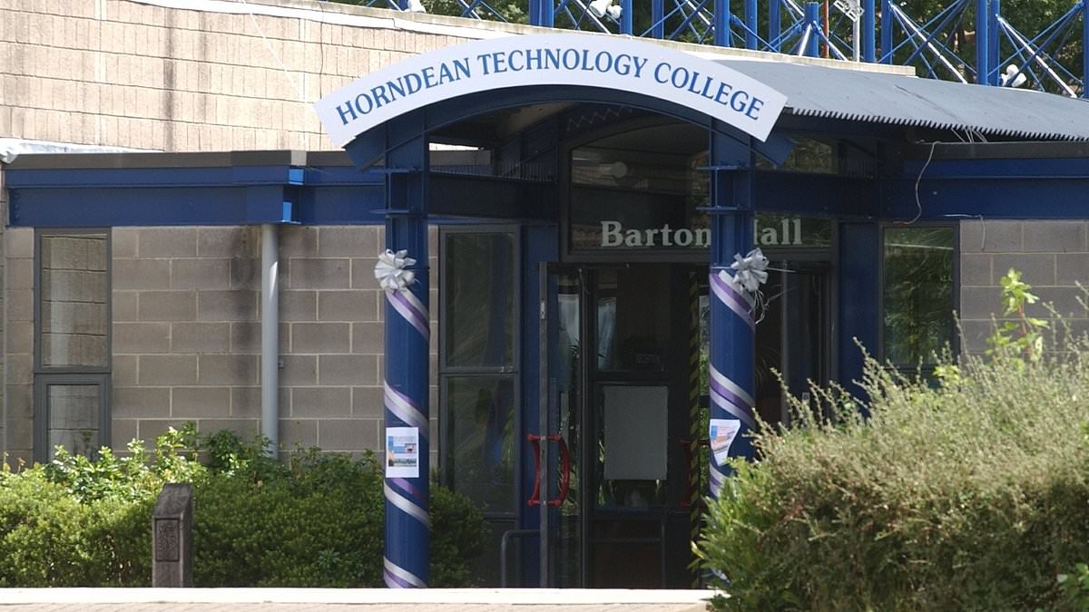 School tragedy as two Year Nine boys at technology college die on the same day in separate incidents