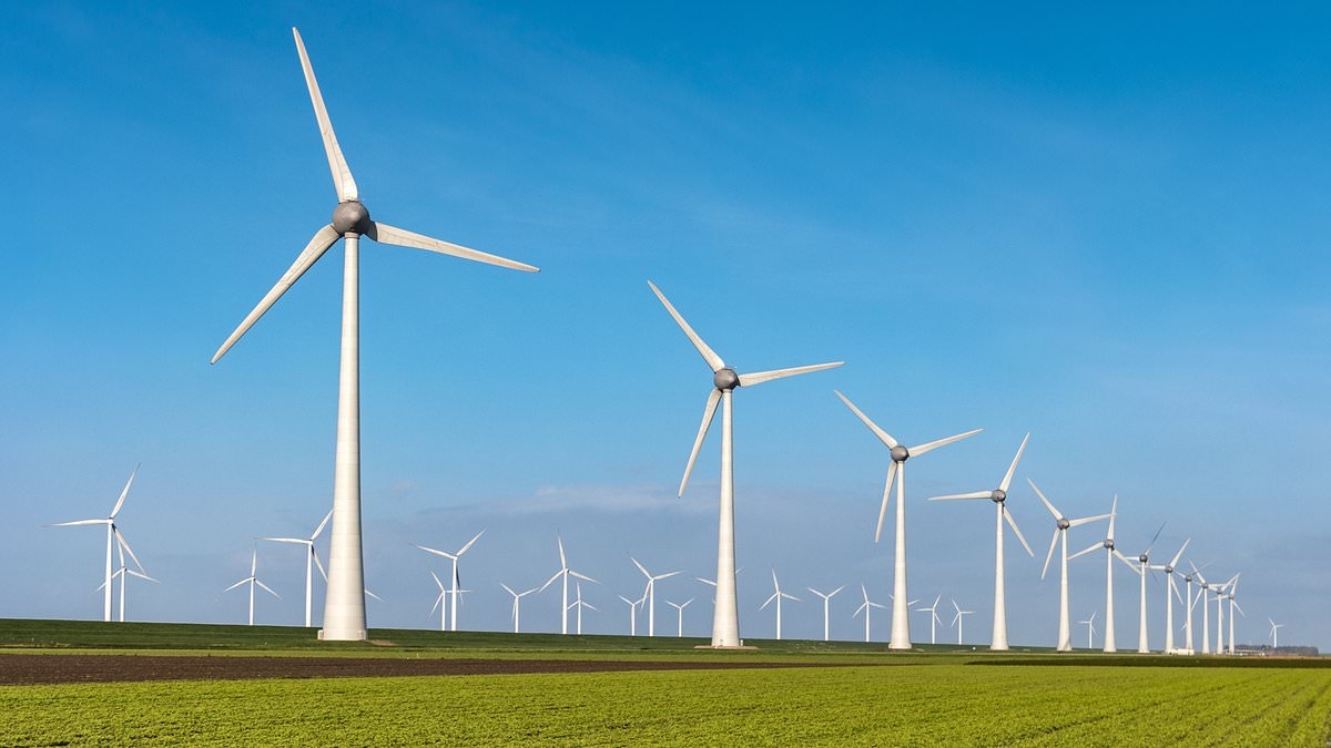 Netherlands RATIONS electricity as country struggles to cope with turning away from gas as part of green policies - as expert warns Britain is also 'in trouble'