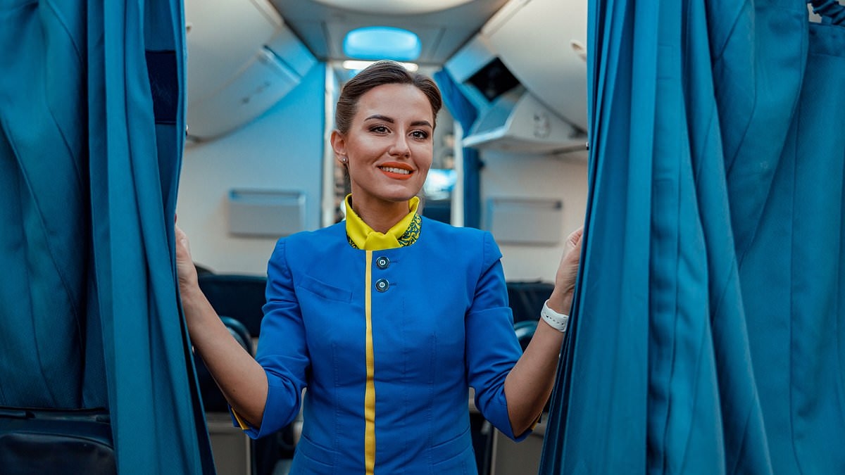 Flight attendant reveals the best time to use the bathroom on a plane
