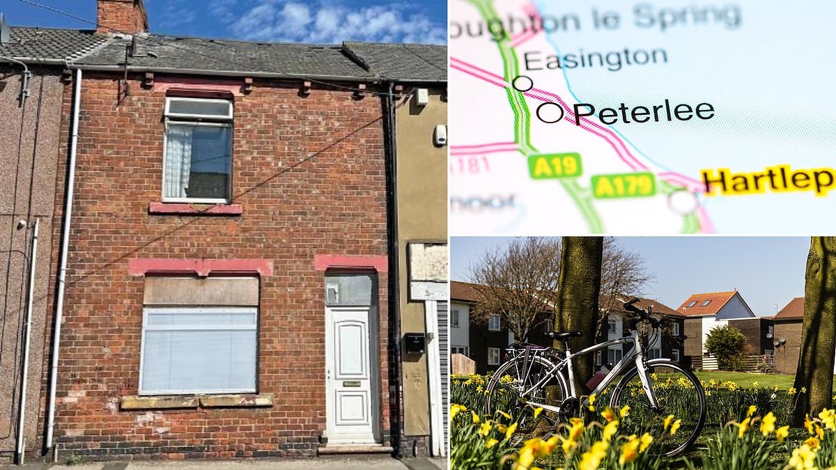 Three bedroom house in popular seaside village sells for just £3,500: Would YOU move into this property?