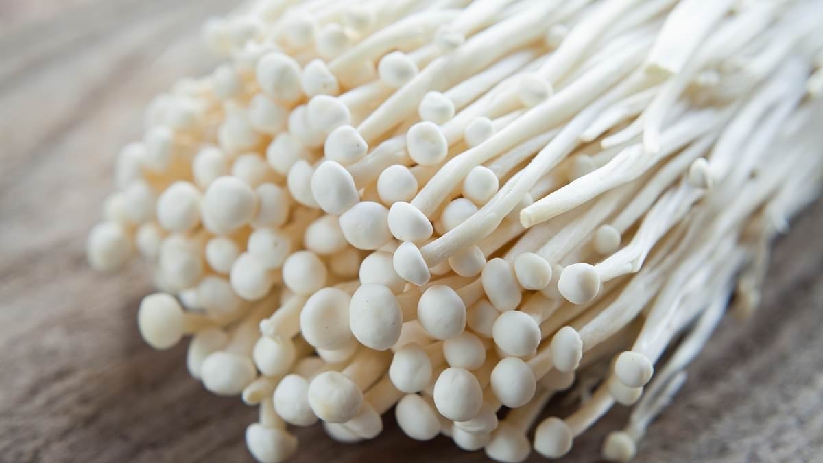 Urgent recall for mushrooms sold in US over deadly contamination: 'Throw out NOW'