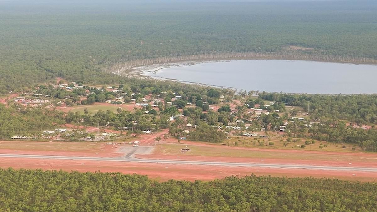 Helicopter passenger dies in freak accident after bird flies into cabin