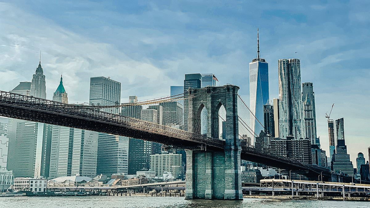 Livvy Dunne joins shock list of A-listers to have huge cash offers for New York apartments REJECTED... as realtor issues warning to buyers