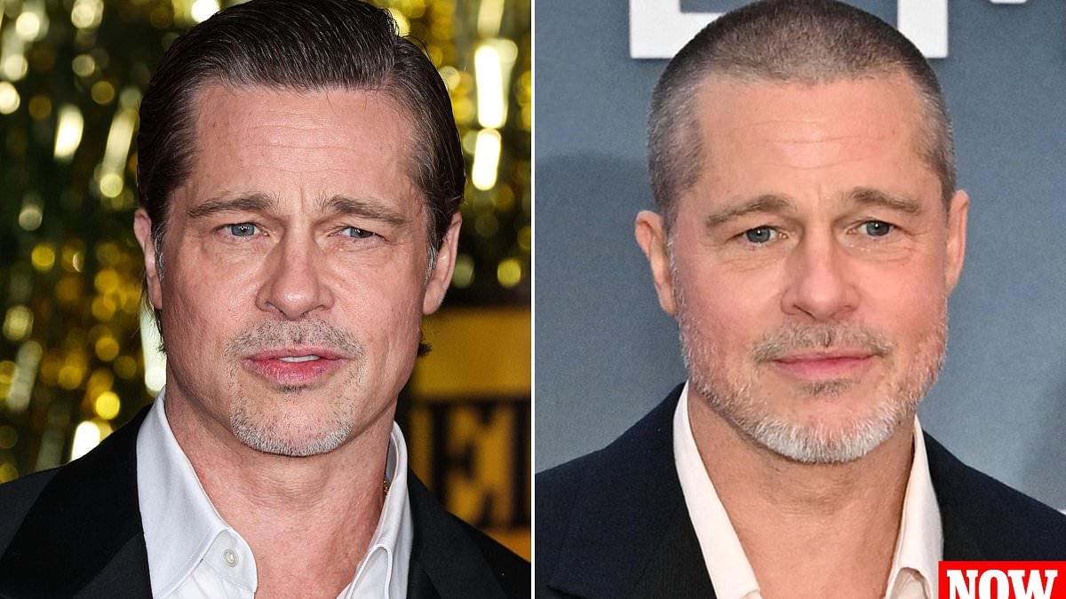 Secrets of Brad Pitt's 'facelift' shared by top plastic surgeons