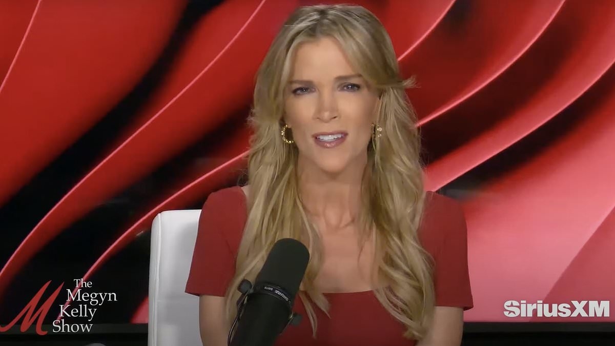 Megyn Kelly stuns guest with astonishing claim on Trump's secret role in Epstein 'cover-up'