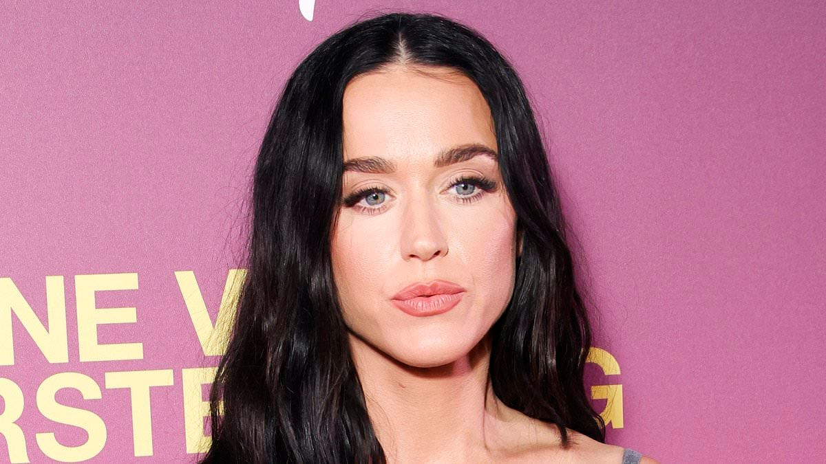 The chilling reason Katy Perry got a restraining order against homeless man following terrifying incident