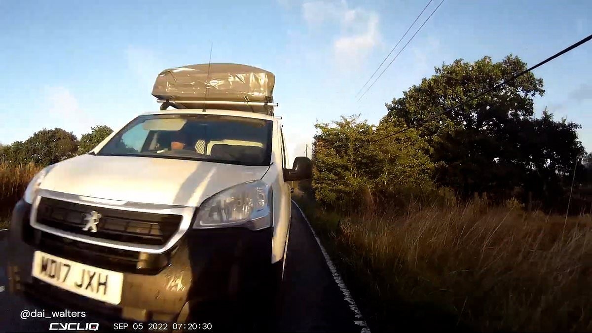 Moment van driver ploughs into a cyclist before driving away and claiming he had 'hit a sheep'