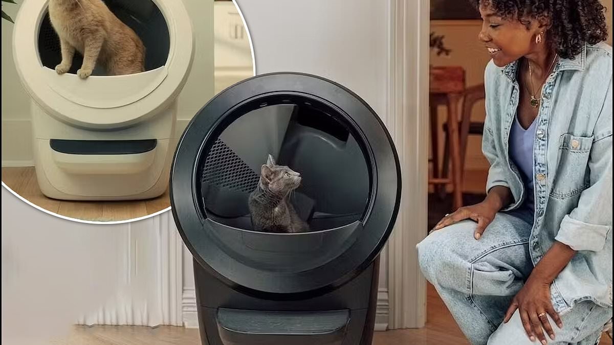 No more smells, no more scooping: The 'game-changing' Litter Robot 4 is a cat owner's dream - and it's $100 off right now