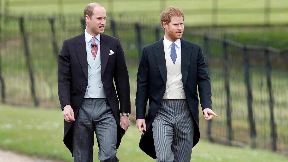 SARAH VINE: The difference between William and Harry is that one has Kate to soothe his mental anguish... the other has Meghan to rub salt into his wounds