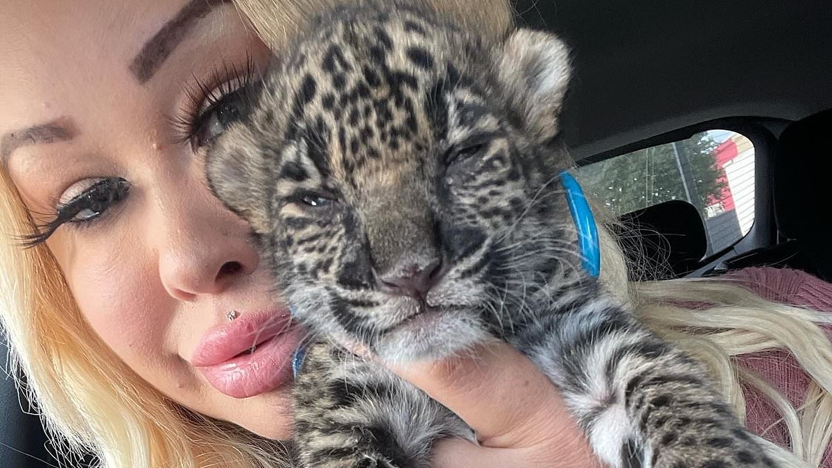 OnlyFans model gets very light sentence for selling jaguar cub to man she met online