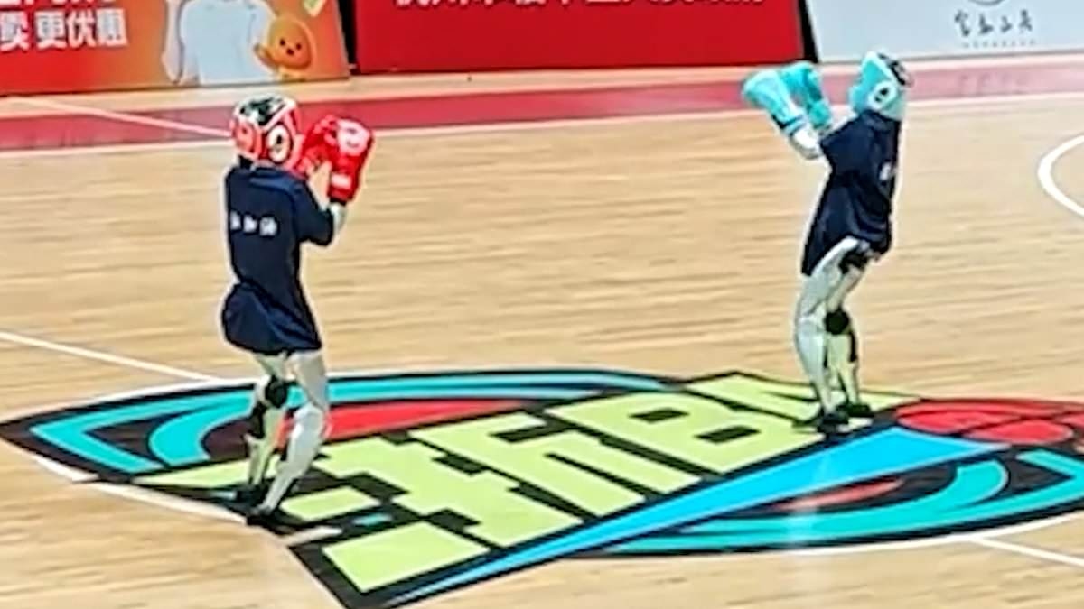 Robots go head-to-head and show off their martial arts 'skills' with some questionable punches and kicks