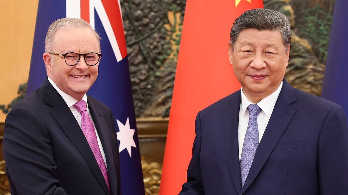Heated confrontation erupts as Australian journalists try to cover Anthony Albanese's visit to China - forcing him to make an admission