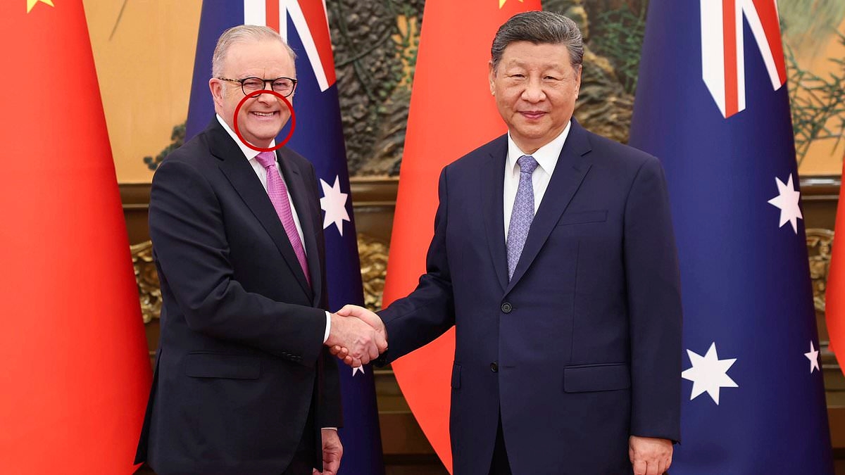 Body language expert exposes easily-missed detail in photo of Anthony Albanese with Xi Jinping - and decodes the secret signs about Albo's feelings