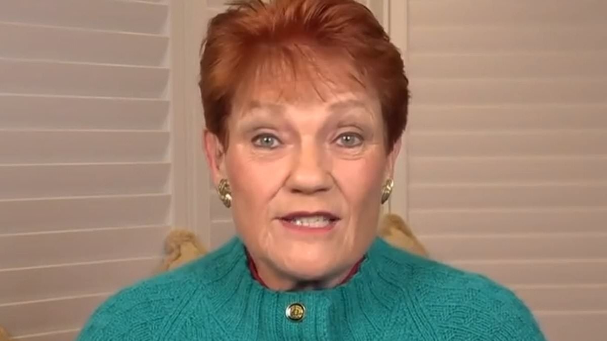 Pauline Hanson loses it at Anthony Albanese - and claims he has committed a very dangerous act