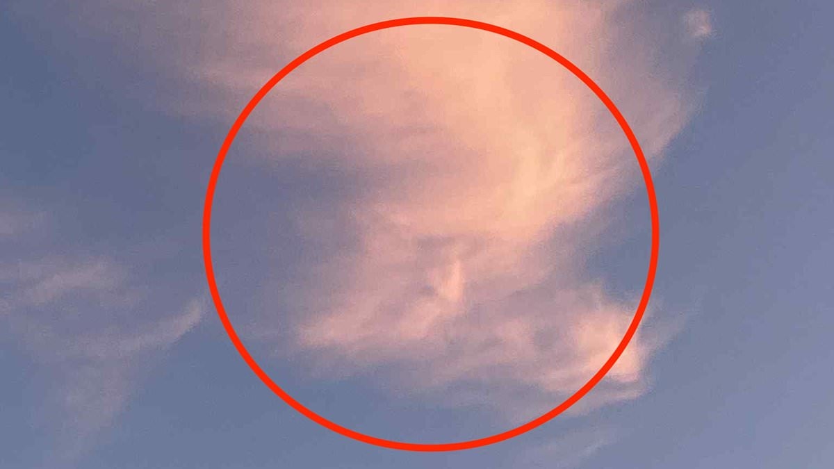 Donald Trump has got his head in the clouds! Dogwalker spots US president's profile in the sky