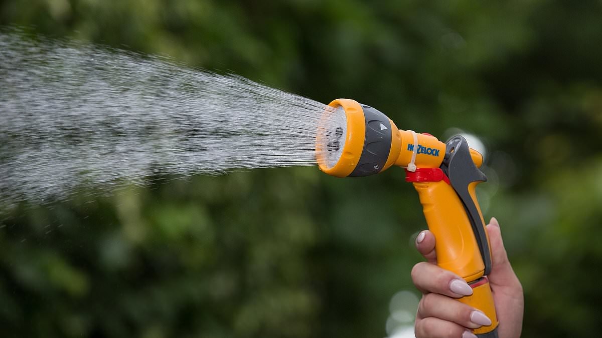 BREAKING NEWS Hosepipe ban announced in another two counties as more than eight million Brits now restricted nationwide - is YOUR area affected?