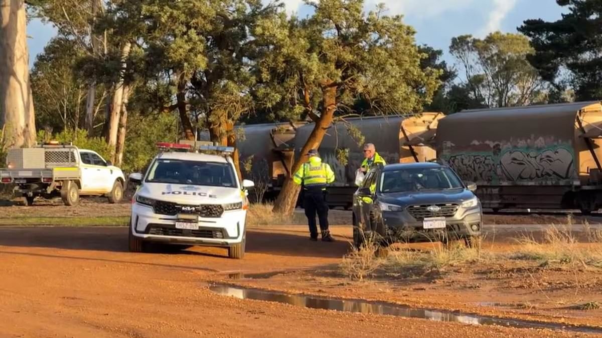 BREAKING NEWS Horror as grain freight train collides with family car at remote Outback level crossing leaving woman dead and three young children injured