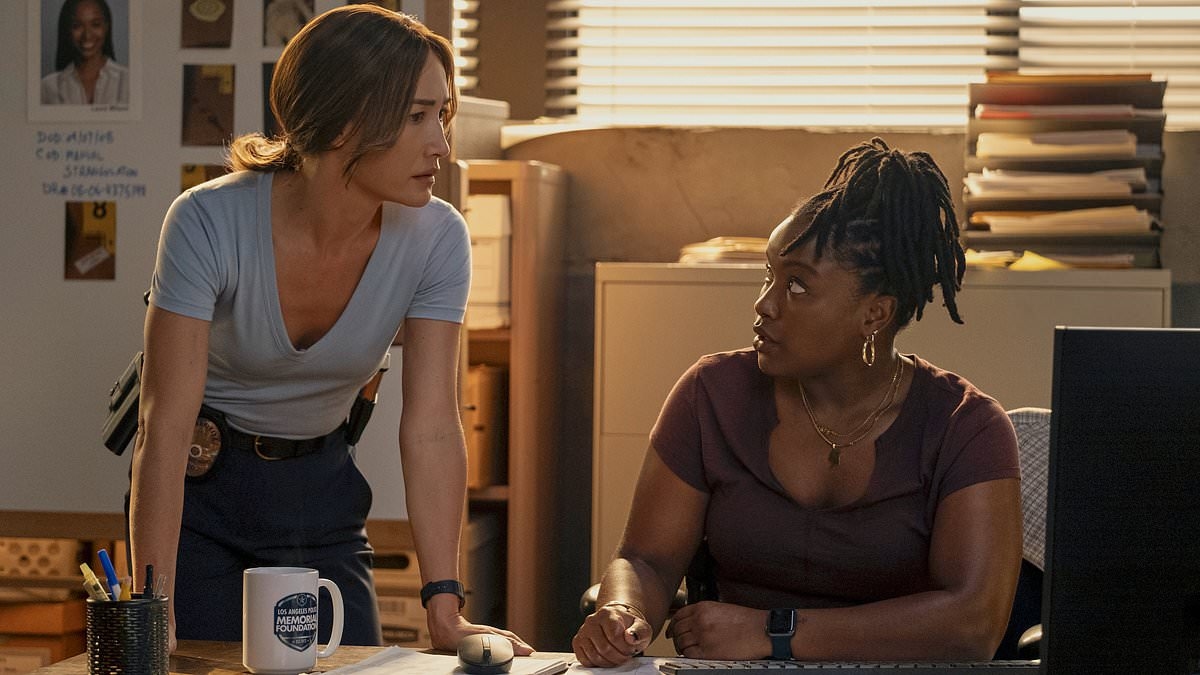 Police drama with perfect 100% Rotten Tomatoes score lauded as 'one of the best shows of 2025' as it rockets to top of streaming charts