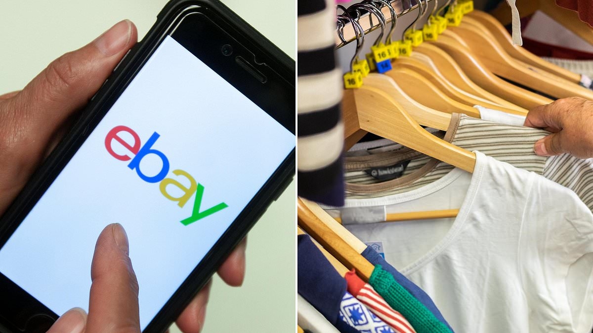 Ebay slashes compulsory buyer fees - will customers be better off?