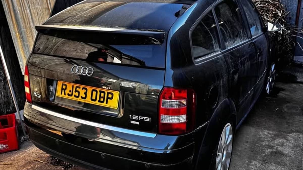 Used Audi A2 advertised for bargain price of £300 has a nasty surprise lurking inside...