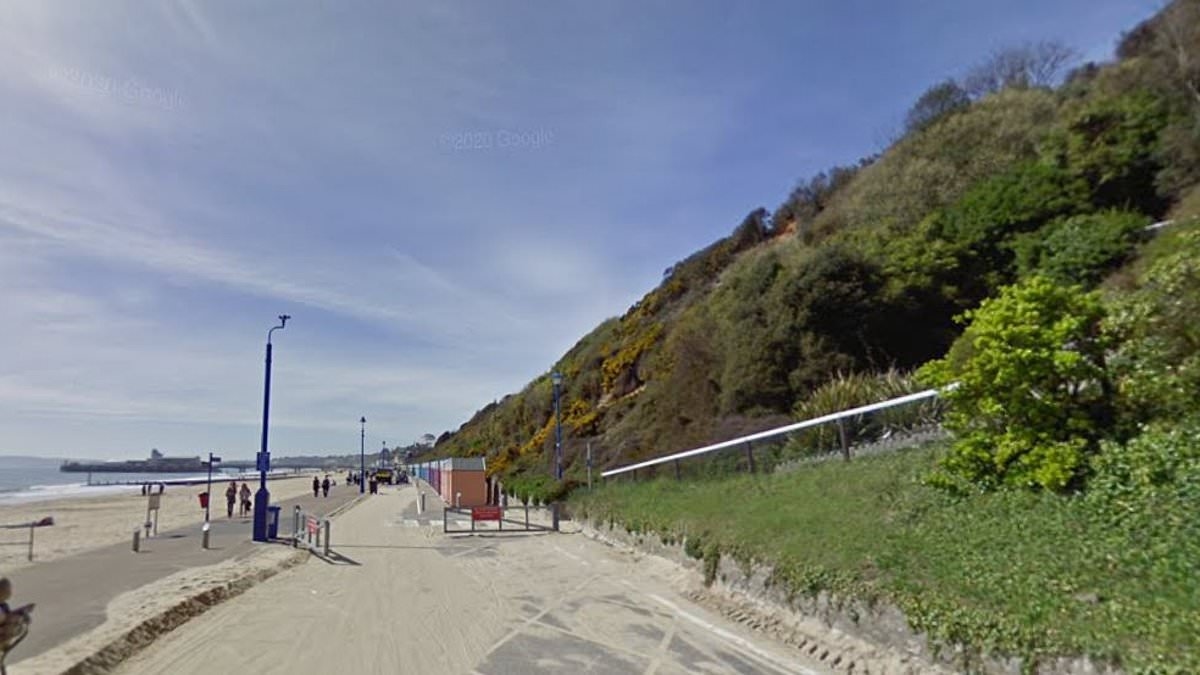 Syrian asylum seeker, 18, appears in court accused of raping woman in a public toilet on popular seafront