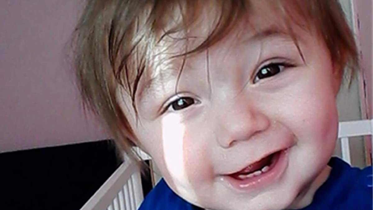 EXCLUSIVE Inside horror house where grandparents beat a toddler to death: Despicable abuse and starvation missed by social services, as daughter reveals