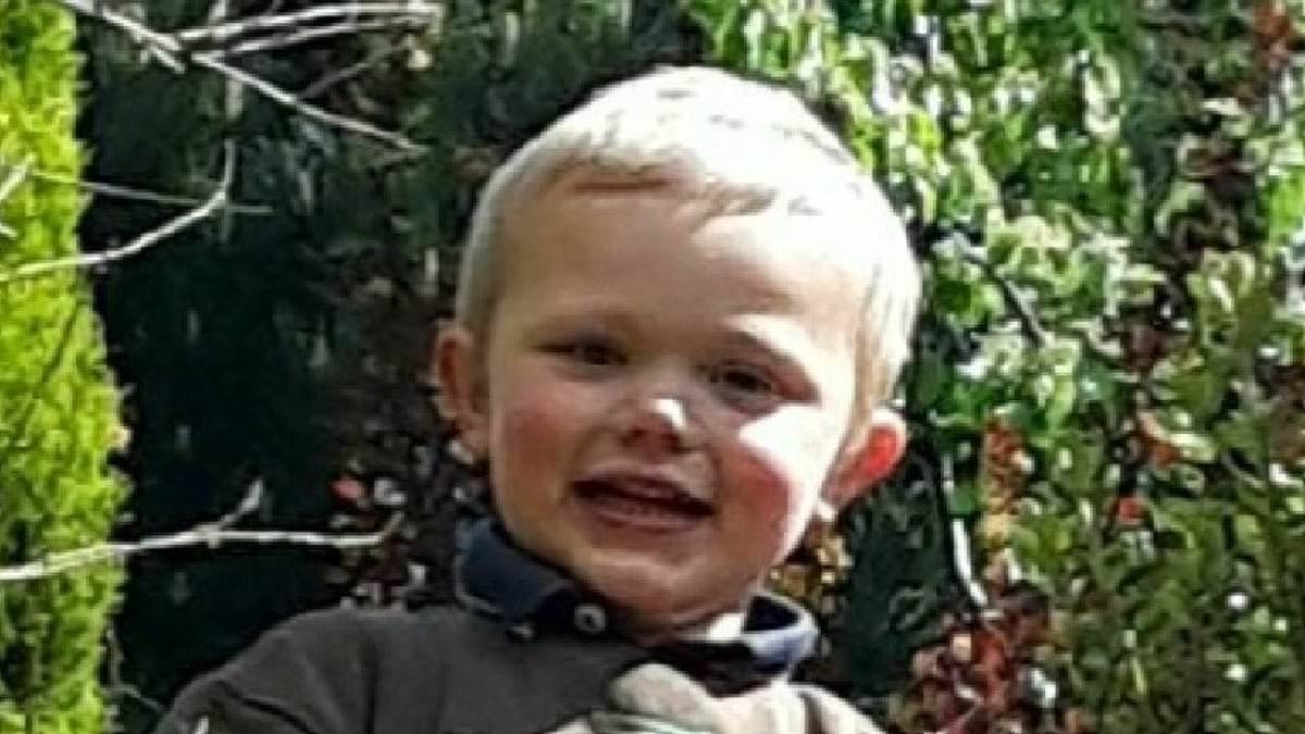 Mother of boy, three, mauled to death in dog attack 'found son face down with blood and marks all over his neck', court hears