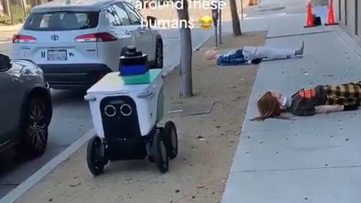 Orwellian clip shows dystopian robot horror that has become new normal in crime-plagued Los Angeles