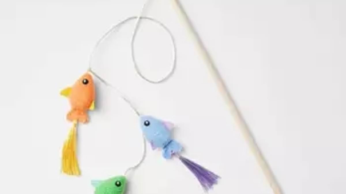 Distraught animal lover says $5 cat toy she bought from Target killed her kitty