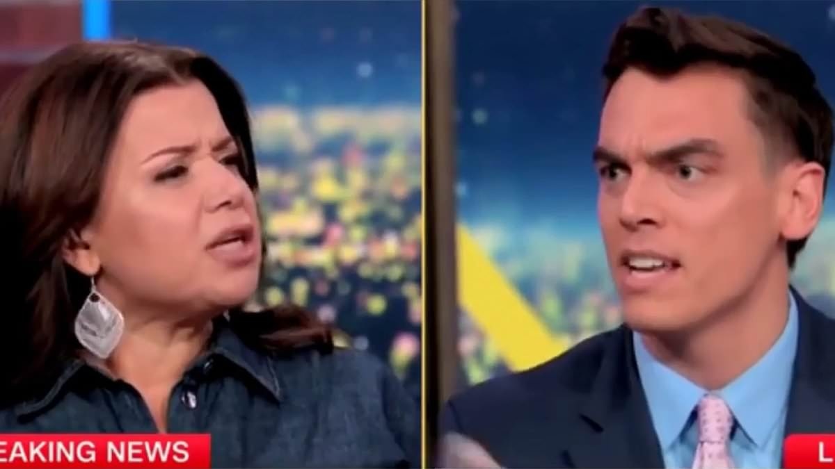 The View's Ana Navarro accused of dismissing fellow CNN panelist as 'white man' in heated exchange
