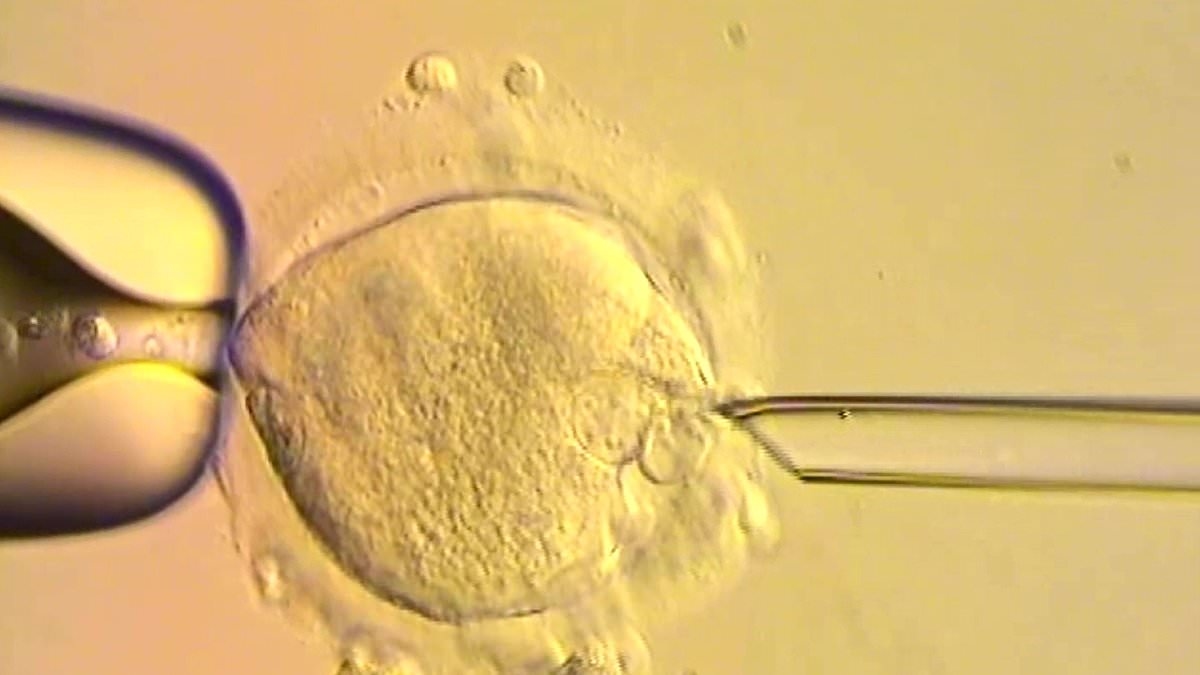 Eight babies have been born in Britain using a new three-person IVF technique designed to prevent hereditary diseases