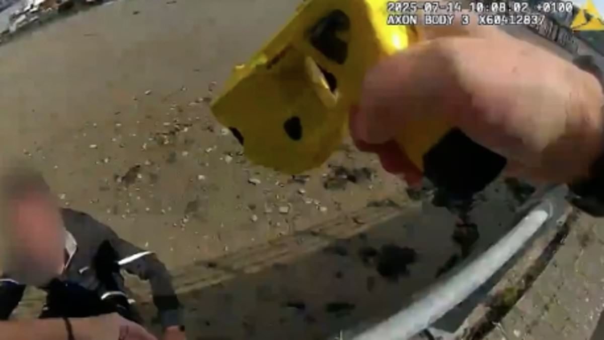 Dramatic footage shows a shoplifter being chased by police and threatening to jump from the side of a pier