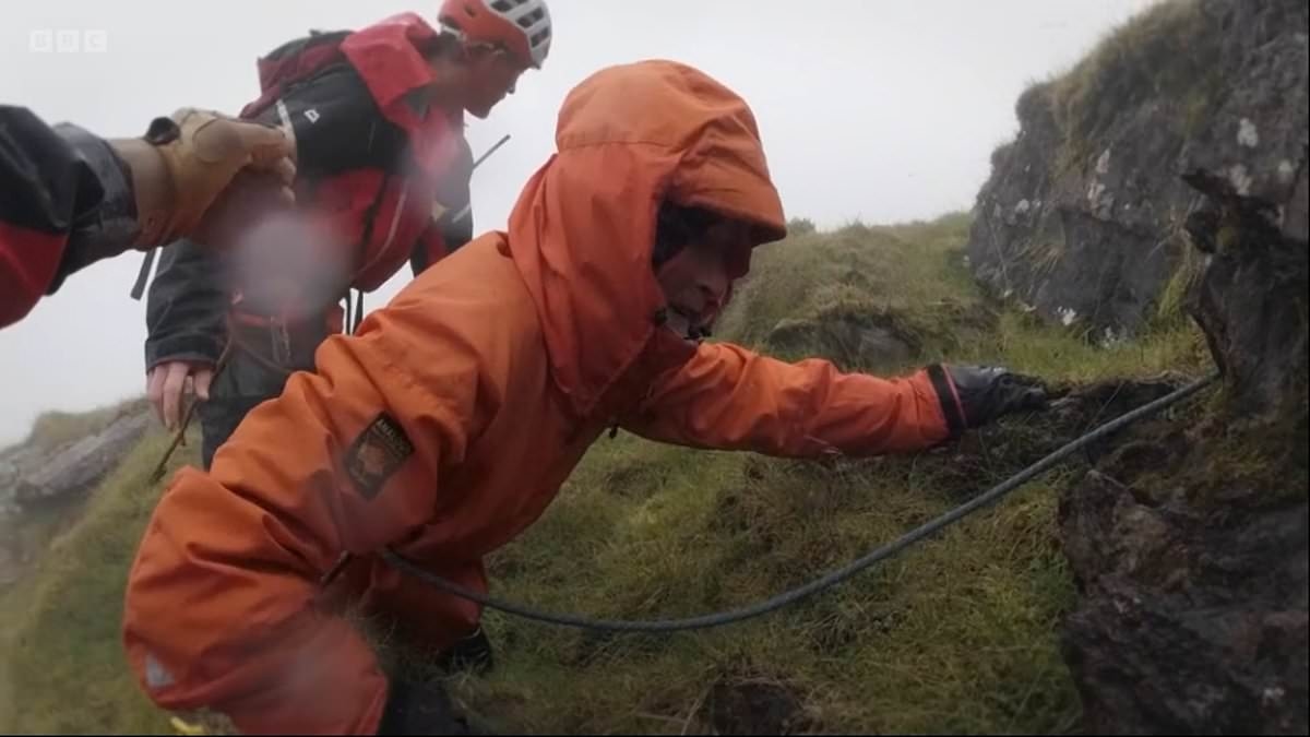 Heart-stopping moment 'bleeding and shivering' 80-year-old woman pleads for rescue after getting stranded on 'perilous' mountain - with panicked husband convinced 'she's gone over the edge'