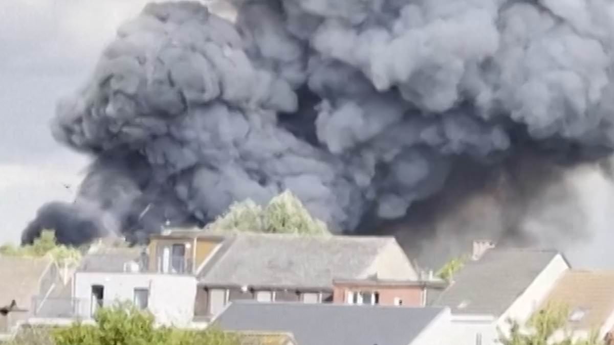 New footage of Tomorrowland inferno shows huge smoke cloud and fireworks going off over nearby houses as stage is completely destroyed just days before festival due to start