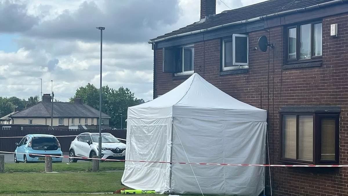 Elderly couple, 83 and 77, die in 'sickening' arson attack on their home as police launch murder investigation