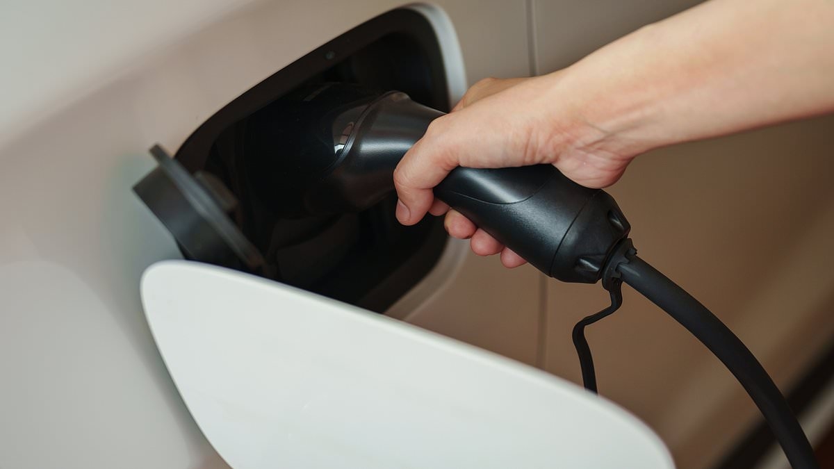 EXCLUSIVE Labour's Electric Car Grant will be a drain on taxpayers and cause 'rampant EV depreciation', experts warn
