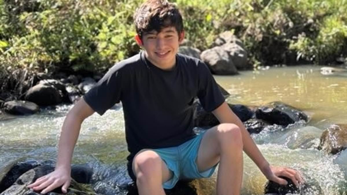 Boy, 14, run over and killed by L-plater while walking to school is identified as math whizz - as heartbreaking details emerge about his family
