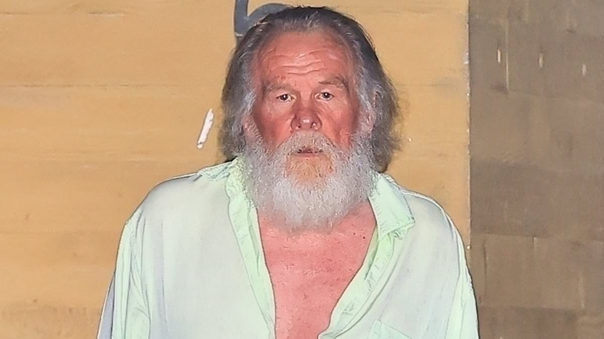Hollywood silver fox bro club revealed as Nick Nolte, 84, Sean Penn, 64, and Josh Brolin, 57, dine in Malibu