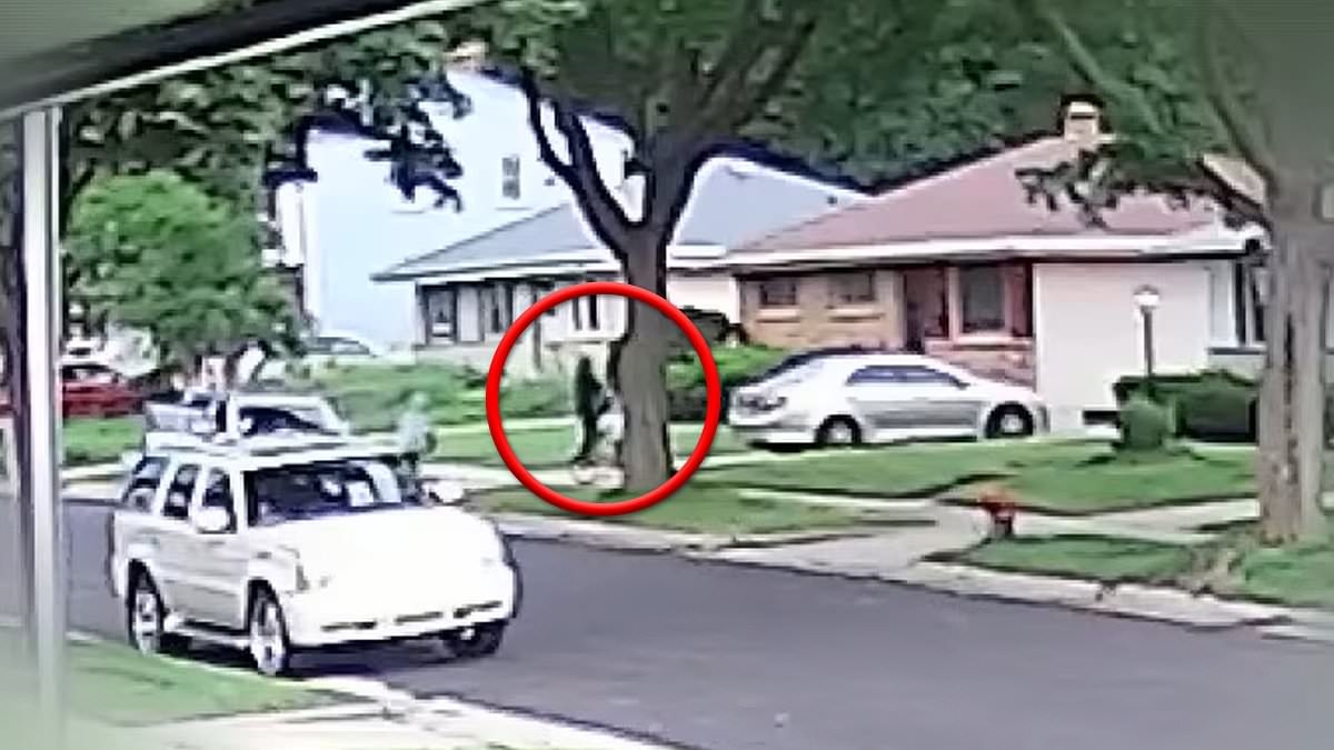 Little boy, 7, is kidnapped at gunpoint as horrific act is caught on camera