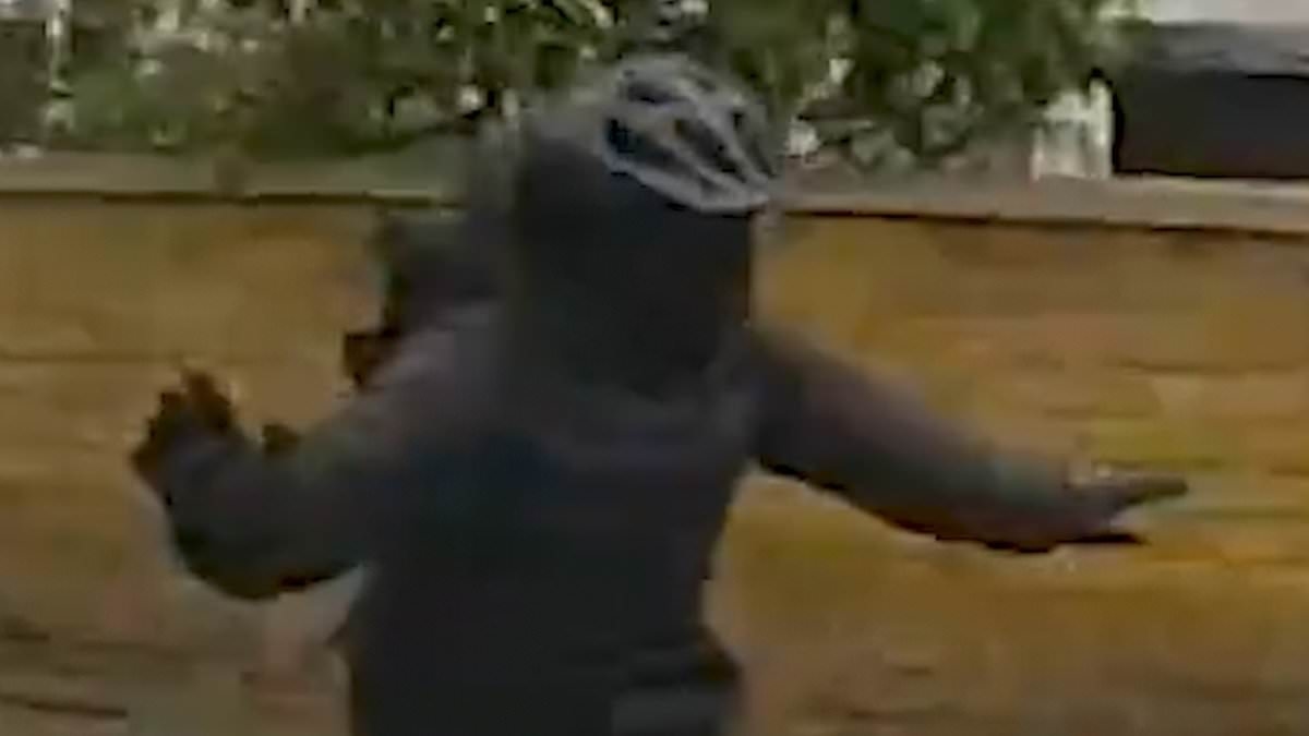 I ain't done nothin'! Moment 'phone snatcher' named Rocky gets a painful dose of instant karma in London