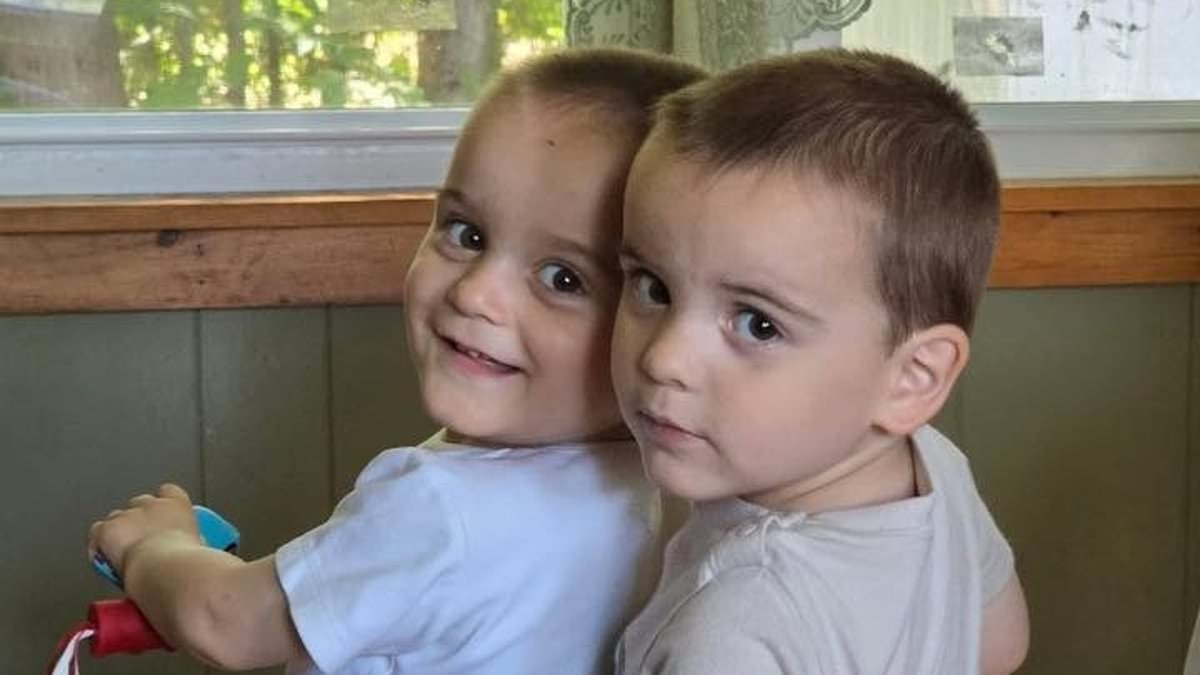Maine mom sees twin toddlers killed by hit and run driver eight years after she saw son, 5, die in waterfall horror