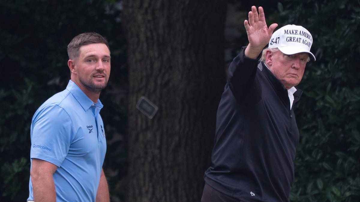 Bryson DeChambeau backs Donald Trump's Turnberry for Open return as talks over bringing a major back to iconic course emerge